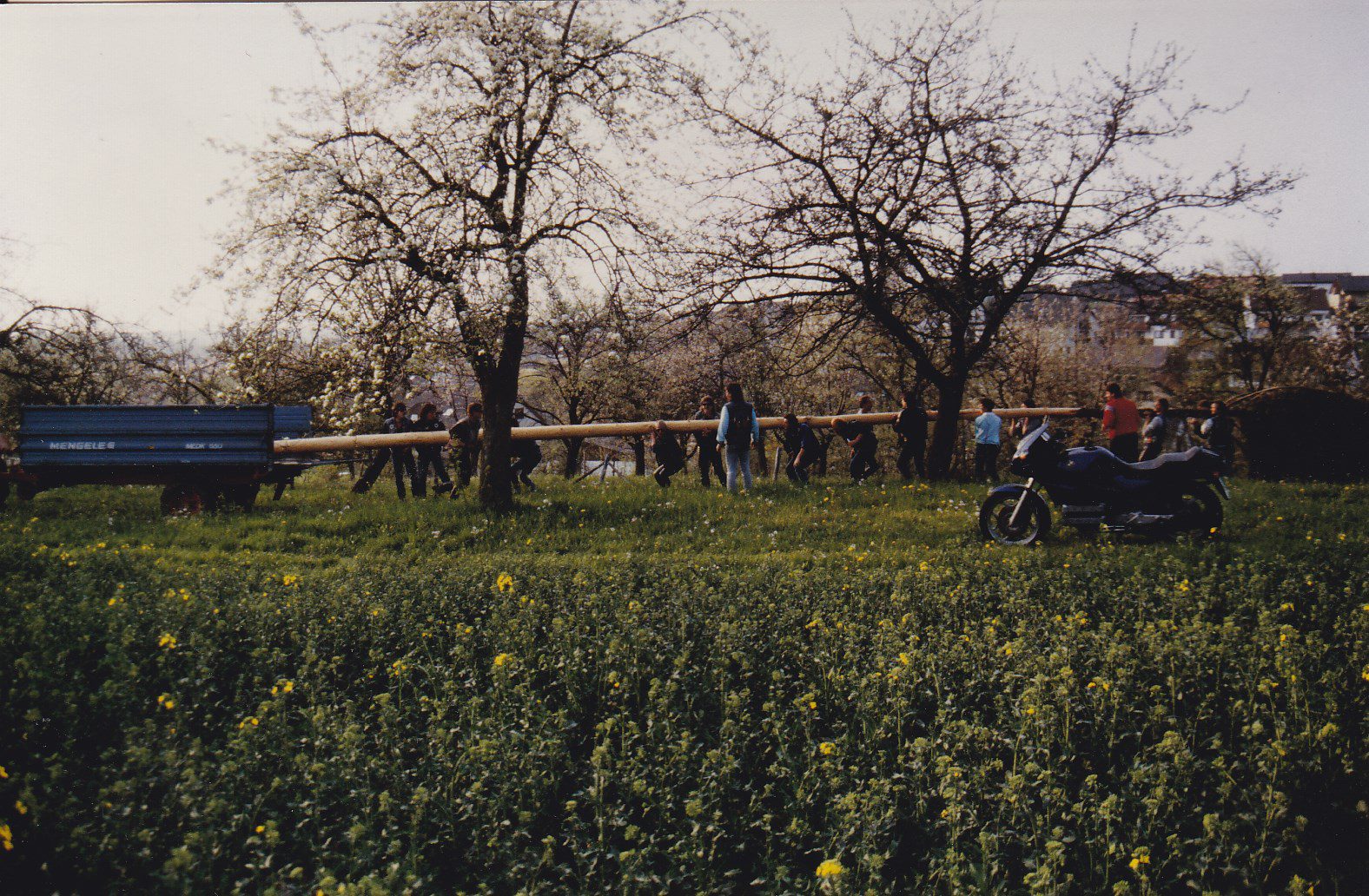 Saukopffressen - Bild 4