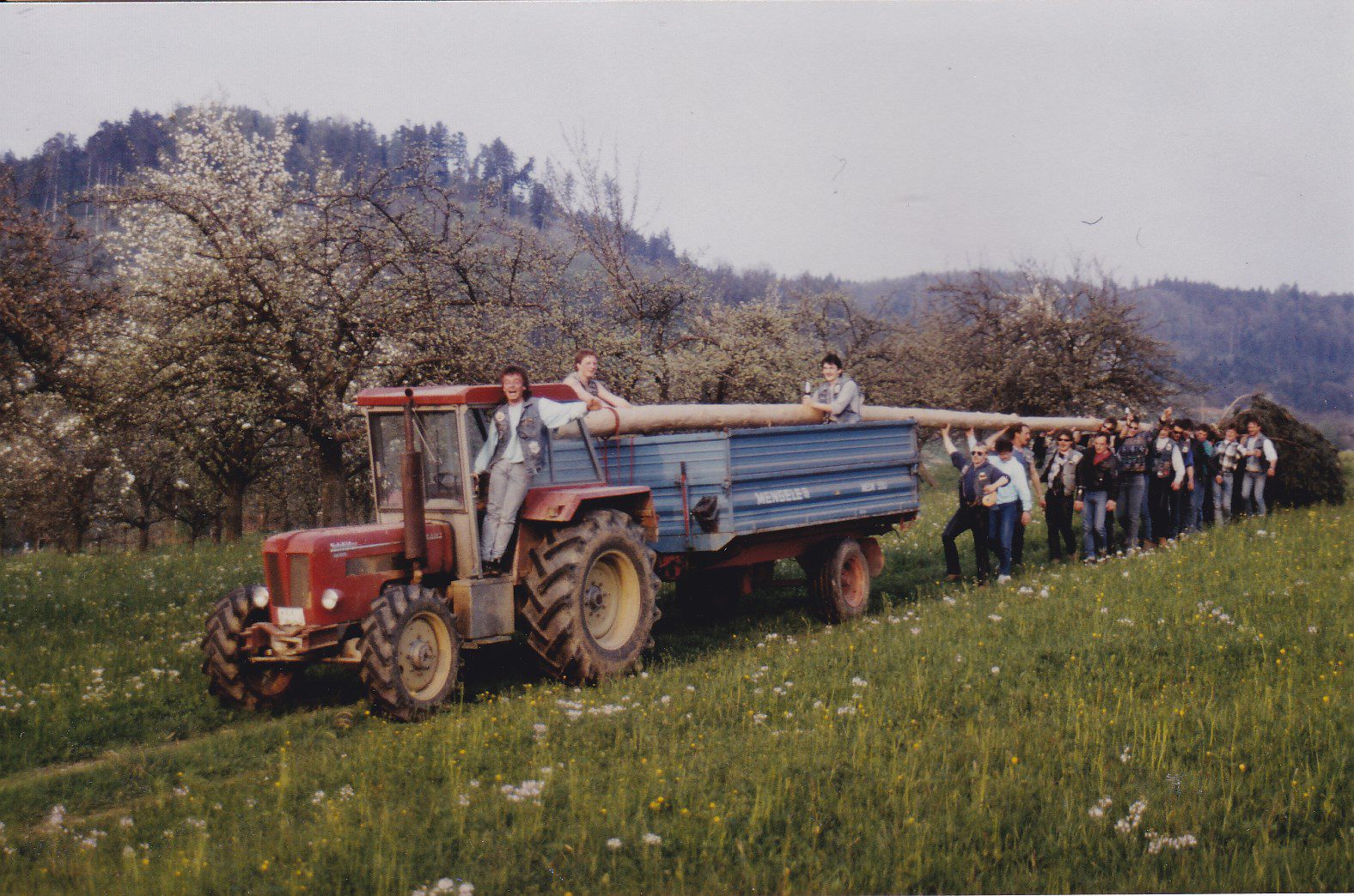 Saukopffressen - Bild 4